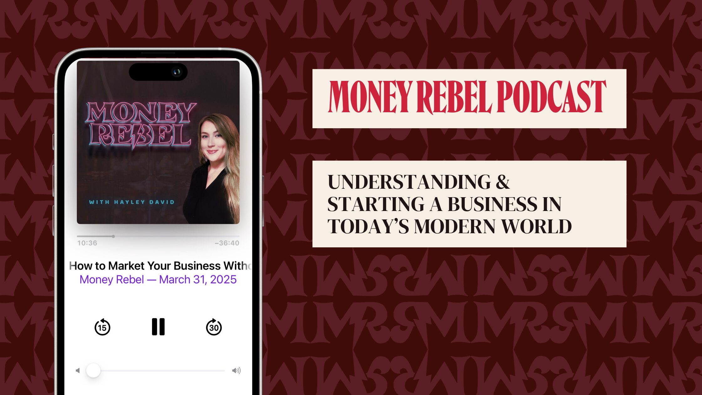 Display image of the Money Rebel Podcast Blog Episode about Understanding and Starting a Business in Today's Modern World.